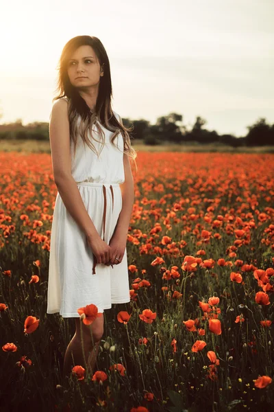 Woman on poppy field — Stock Photo, Image
