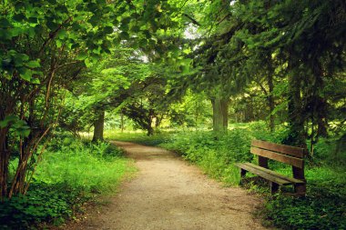 Pathway with wooden bench clipart