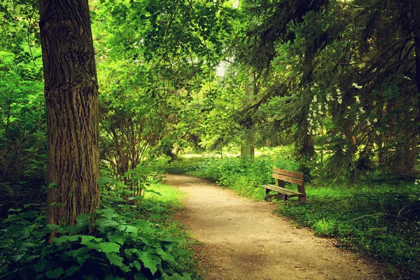 Pathway with wooden bench — Stock Photo, Image