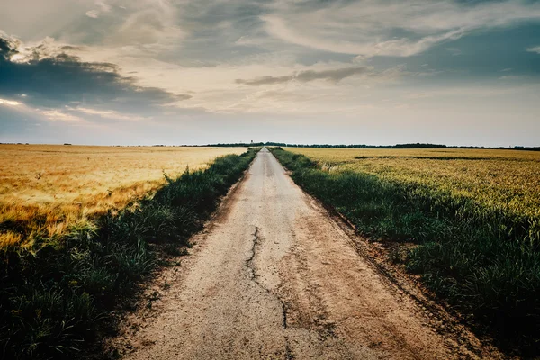 Country ground road — Stock Photo, Image