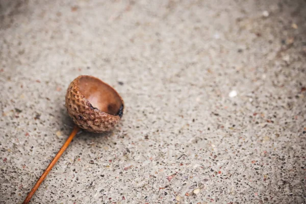 Asfalt zemin üzerinde sepya ışığında asfalt kaplı bir başlık var.