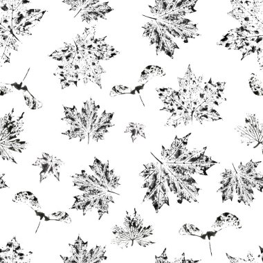 Beyaz arkaplanda akçaağaç yaprakları ve tohumların mürekkep baskısı