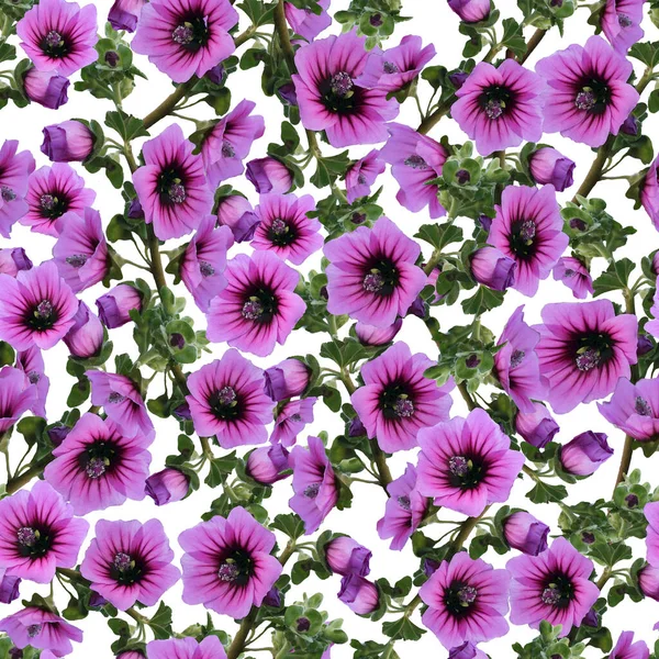 Purple flower on stem seamless pattern