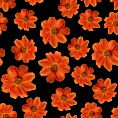 Turuncu zinnia çiçeği pürüzsüz desen