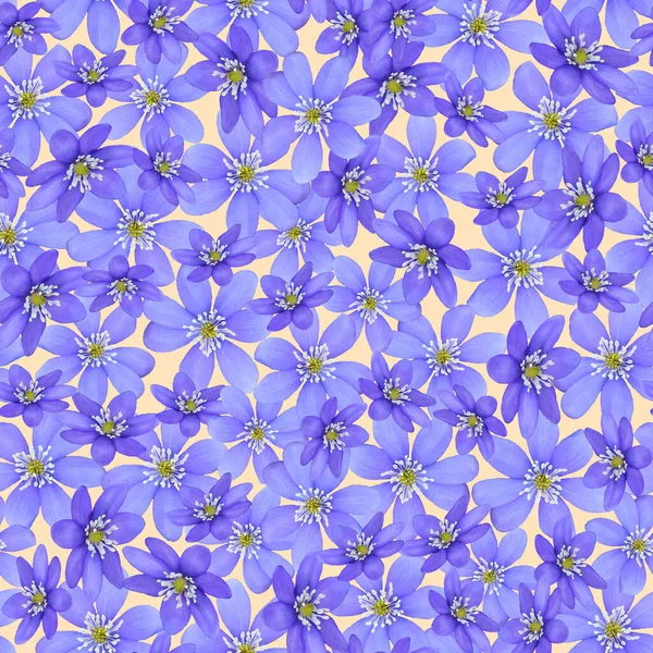 Blå Vår Snöfall Blomma Sömlös Mönster — Stockfoto