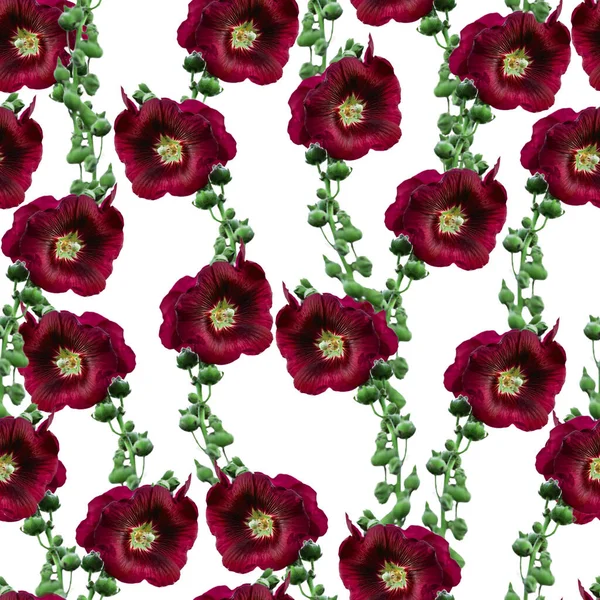 茎を持つHollyhock月の花花花シームレスパターン — ストック写真