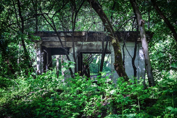 Edificio abandonado escondido en plantas de bosque verde — Foto de Stock