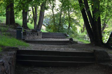 Ağaçlarla çevrili parkın karanlık gölgesinden çıkan eski merdivenler.