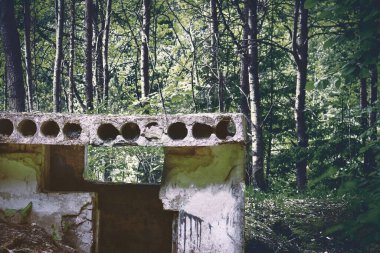 Orman ağaçlarında terk edilmiş beton yapı.
