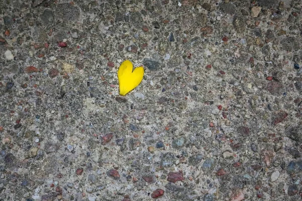 Желтые лепестки сердца лежат на асфальтированной дороге с разноцветной галькой — стоковое фото