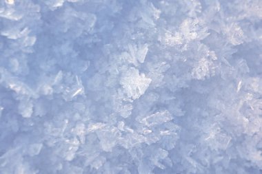 Karmaşık don çiçeği mavimsi buz yüzeyi kristalleri ince mavi tonlarla buzda tüy benzeri desenler oluşturur. Kış güzelliği, makro fotoğrafçılık, soyut özgeçmiş, doğal sanat ve mevsimsel tasarım için mükemmel..