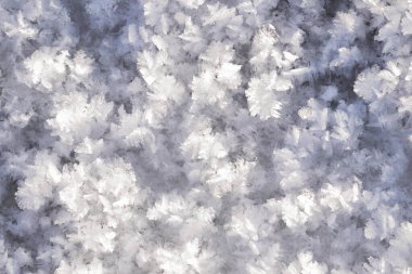 Karmaşık buz yüzeyi kristalleri ince mavi tonlarla buzda tüy benzeri desenler oluşturur. Kış güzelliği, makro fotoğrafçılık, soyut özgeçmiş, doğal sanat ve mevsimsel tasarım için mükemmel..