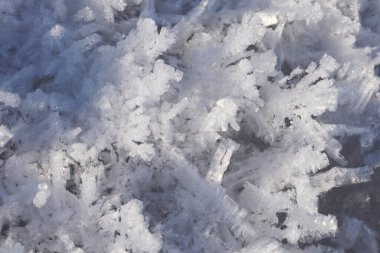 Karmaşık buz ayrıntıları kristaller ince mavi tonlarla buzda tüy benzeri desenler oluşturur. Kış güzelliği, makro fotoğrafçılık, soyut özgeçmiş, doğal sanat ve mevsimsel tasarım için mükemmel..