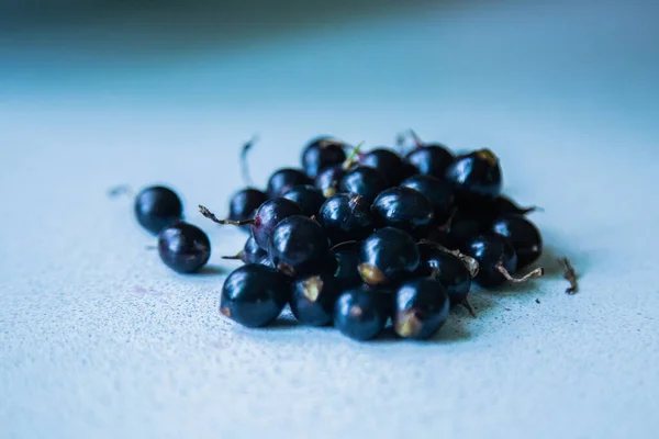 Bacche Ribes Nero Con Ramoscelli Foglie — Foto Stock