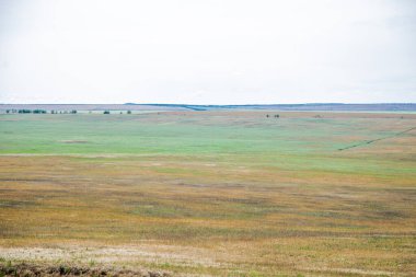 Fotoğrafta bir tarla ve dağlar görünüyor..