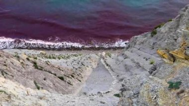 Alglerden gelen kırmızımsı renk dalgaları beyaz köpükle kayaya vuruyor.