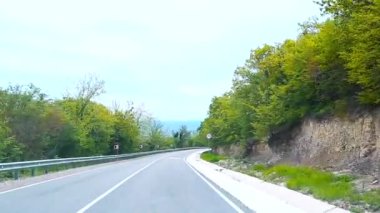 Video, yılanbalığı boyunca araba sürerken çekilmiş.