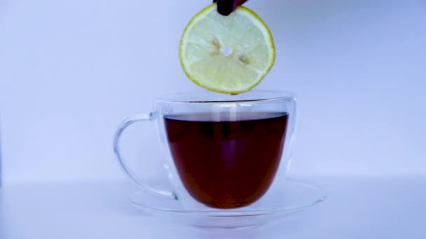 Egy bögre fekete tea áll fehér háttéren, egy sárga citromkarikát óvatosan helyeznek bele.. — Stock videók