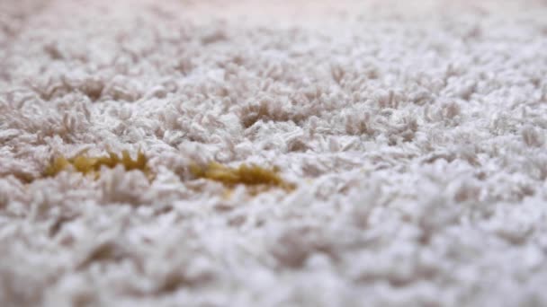El jugo se vierte en una alfombra beige esponjosa, después de lo cual la mancha se llena con una espuma blanca. — Vídeos de Stock