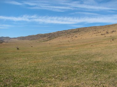 Açık mavi gökyüzü altında sarı çim kaplı tepe