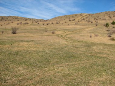 Açık mavi gökyüzü altında sarı çim kaplı tepe