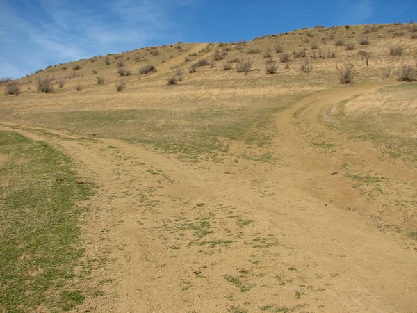 Hill covered of yellow grass under clear blue sky — Stock Photo, Image