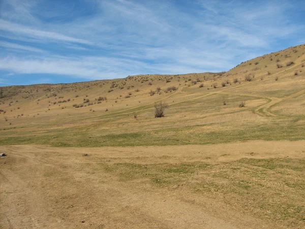 Hill covered of yellow grass under clear blue sky — Stock Photo, Image