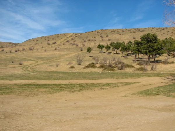 Hill covered of yellow grass under clear blue sky — Stock Photo, Image