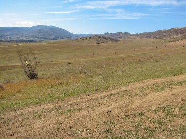 Açık mavi gökyüzü altında sarı çim kaplı tepe