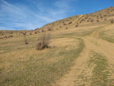 Açık mavi gökyüzü altında sarı çim kaplı tepe