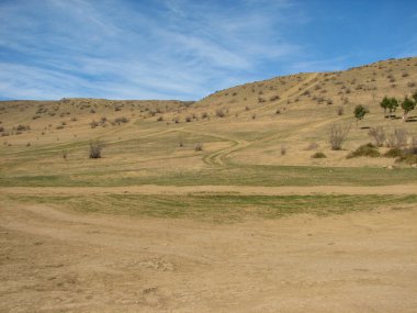 Açık mavi gökyüzü altında sarı çim kaplı tepe