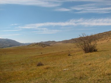 Açık mavi gökyüzü altında sarı çim kaplı tepe
