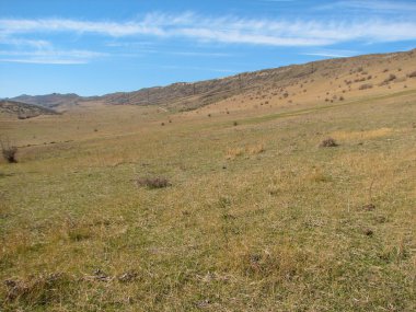 Açık mavi gökyüzü altında sarı çim kaplı tepe