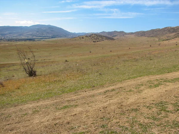 Açık mavi gökyüzü altında sarı çim kaplı tepe