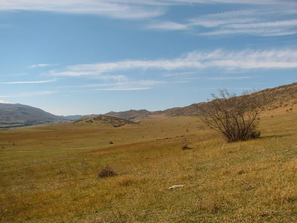 Açık mavi gökyüzü altında sarı çim kaplı tepe