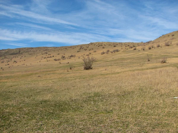 Hill covered of yellow grass under clear blue sky — Stock Photo, Image