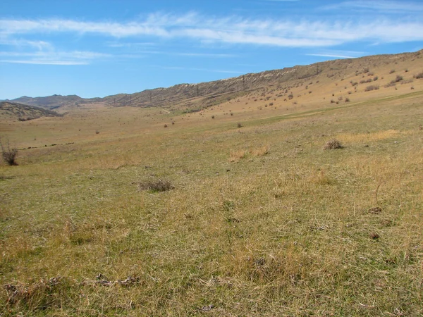Açık mavi gökyüzü altında sarı çim kaplı tepe