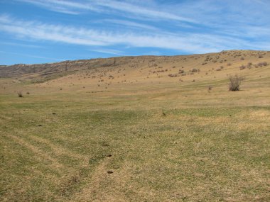 Açık mavi gökyüzü altında sarı çim kaplı tepe