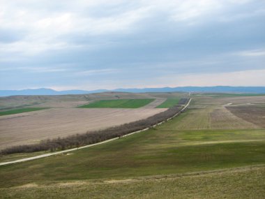 Açık mavi gökyüzü altında sarı çim kaplı tepe