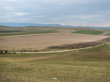 Açık mavi gökyüzü altında sarı çim kaplı tepe