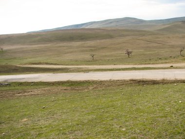 Açık mavi gökyüzü altında sarı çim kaplı tepe