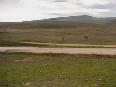 Açık mavi gökyüzü altında sarı çim kaplı tepe