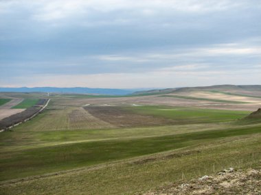 Açık mavi gökyüzü altında sarı çim kaplı tepe