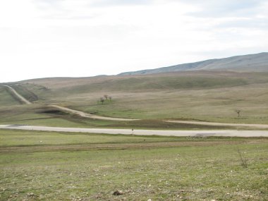 Açık mavi gökyüzü altında sarı çim kaplı tepe