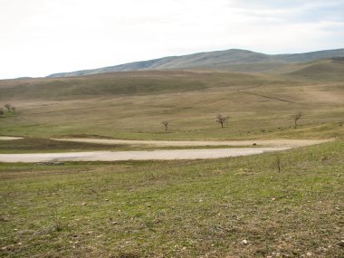 Açık mavi gökyüzü altında sarı çim kaplı tepe