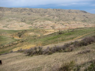 Açık mavi gökyüzü altında sarı çim kaplı tepe