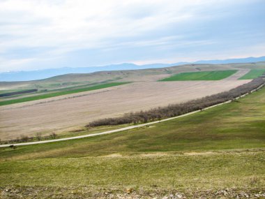 Açık mavi gökyüzü altında sarı çim kaplı tepe