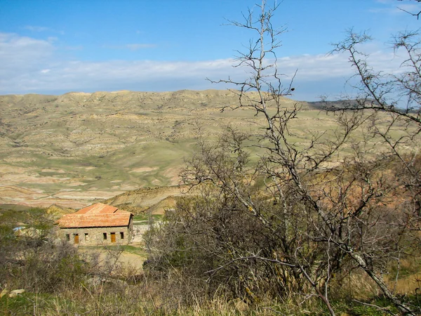 Пагорб, вкритий жовтою травою під ясним блакитним небом — стокове фото