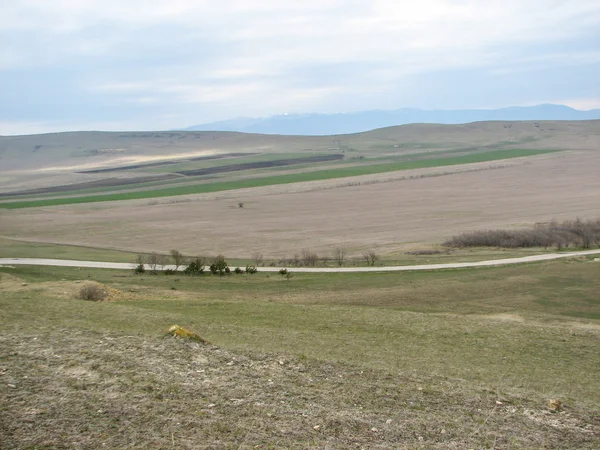 Açık mavi gökyüzü altında sarı çim kaplı tepe