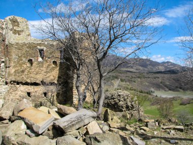 Açık mavi gökyüzü altında sarı çim kaplı tepe